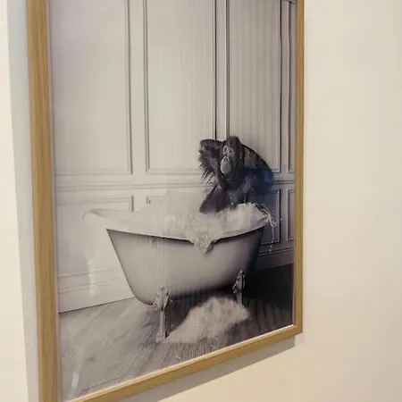 Appartement Le Nid Douillet Nancéien Nancy