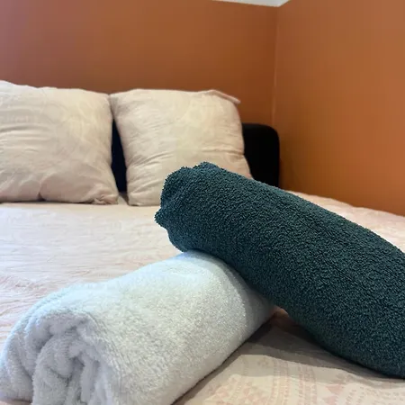 Le Nid Douillet Nancéien Appartement *