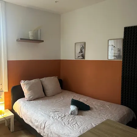 Le Nid Douillet Nancéien Appartement Nancy