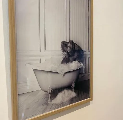 Appartement Le Nid Douillet Nancéien Nancy