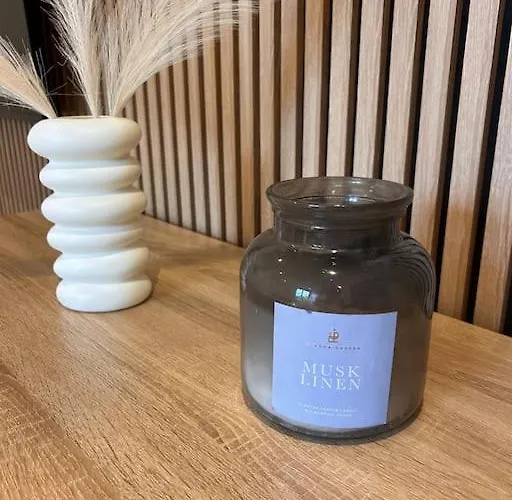 Appartement Le Nid Douillet Nancéien Nancy